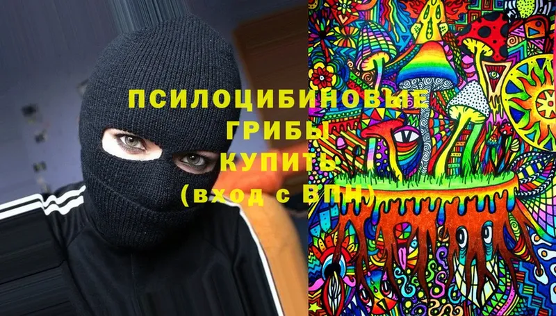 Псилоцибиновые грибы Magic Shrooms  Рыбинск 